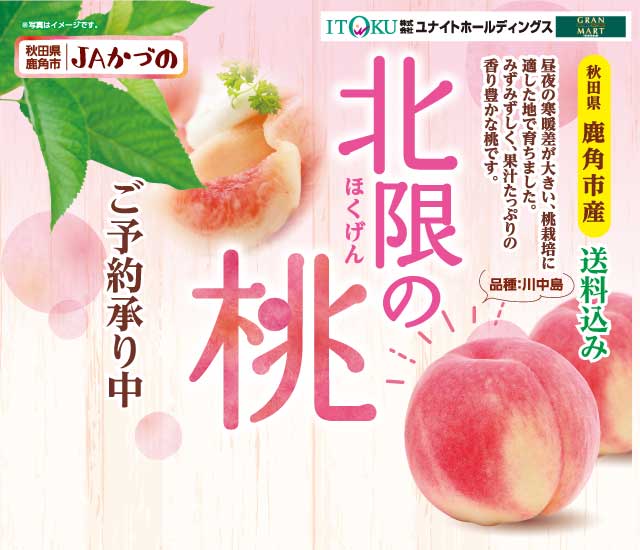 北限の桃販売