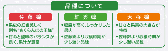 品種の説明