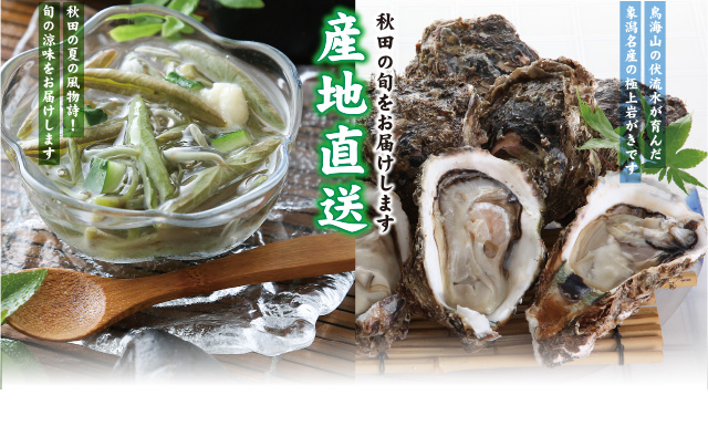 産地直送・じゅんさいvs岩牡蠣