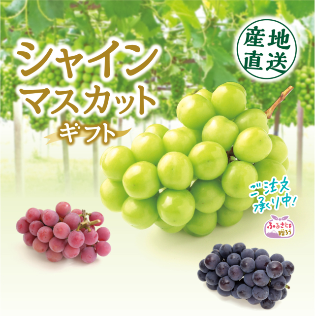 2026シャインマスカット予約販売