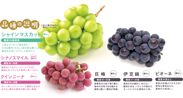 ぶどう品種の説明